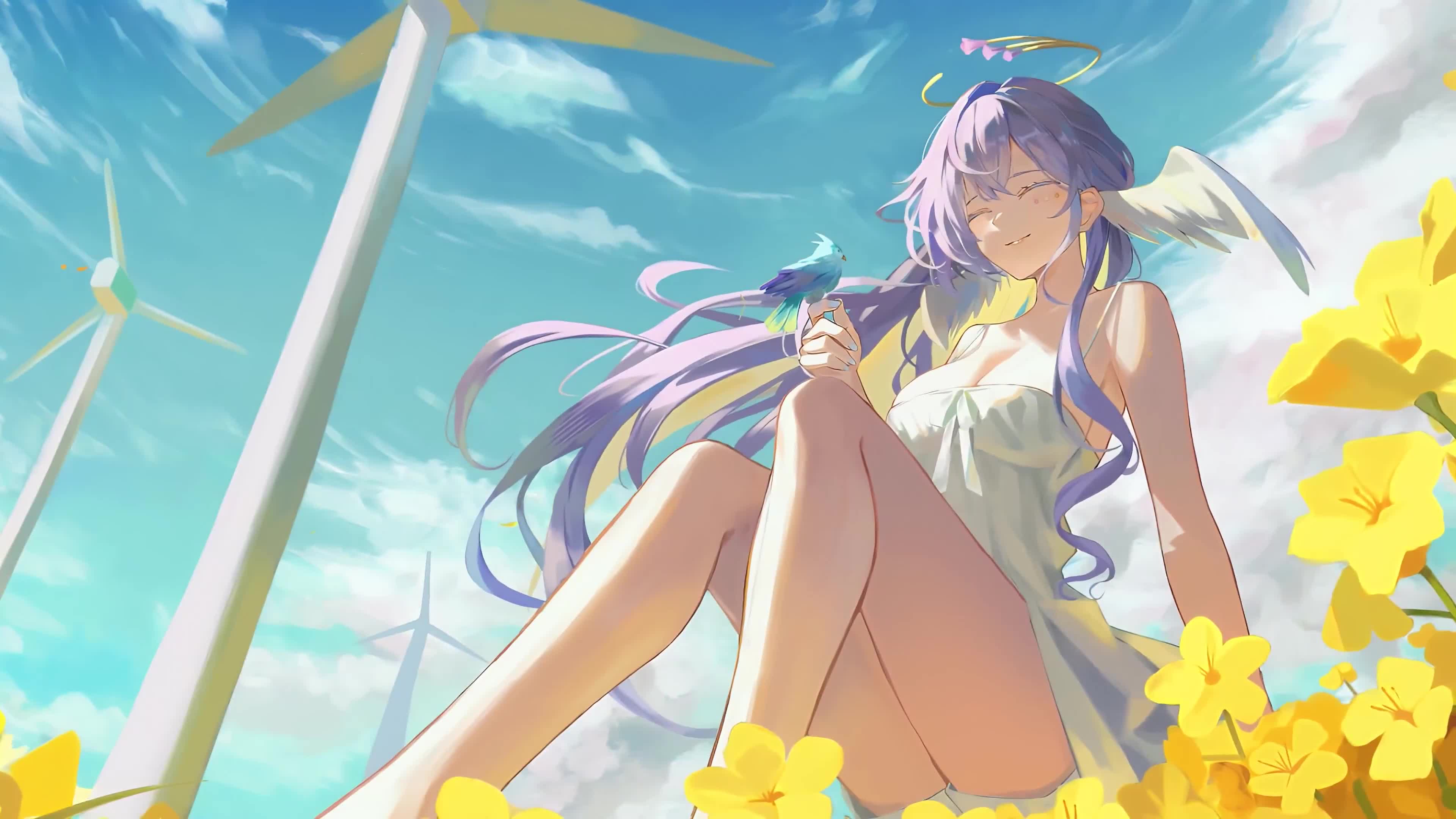 【哲风壁纸】二次元-崩坏-知更鸟.mp4