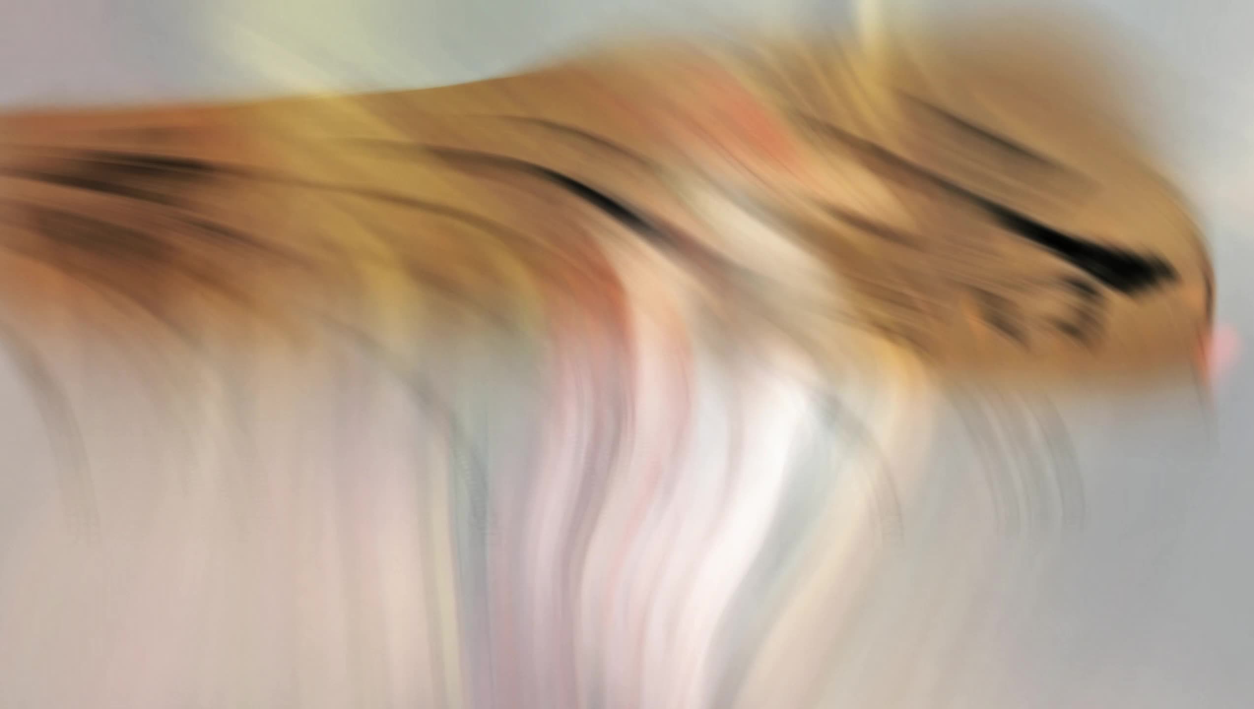 弗洛洛古字体.mp4